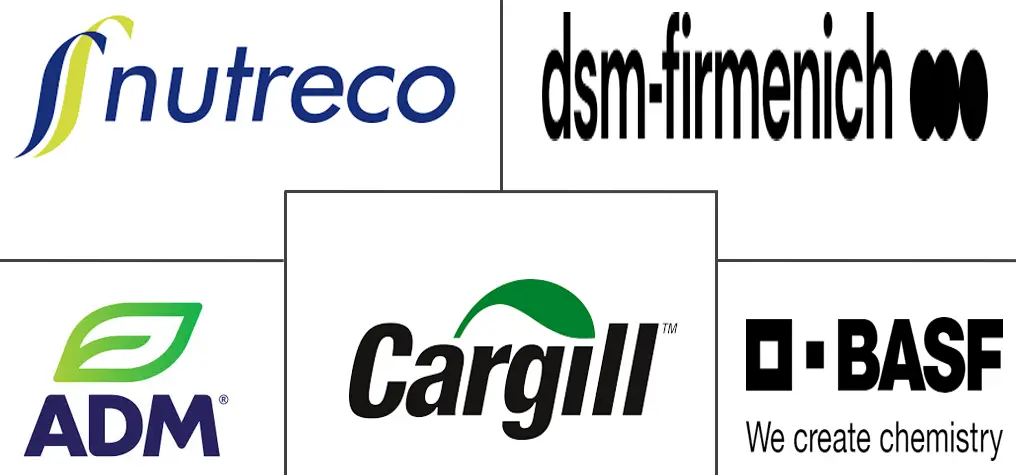 Major players in Feed Premix industry