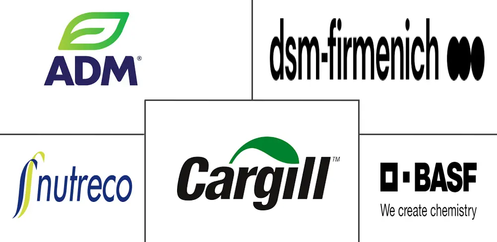 Major players in Feed Premix industry