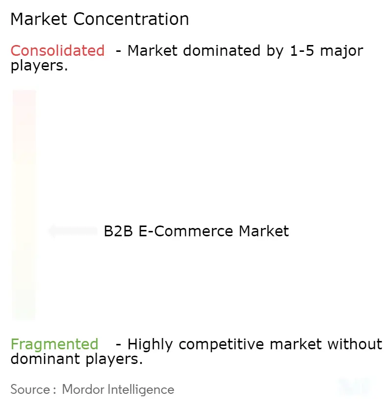  B2B E-commerce Market Concentration