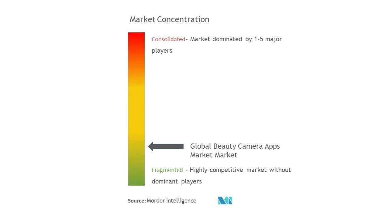 美容カメラアプリ市場の集中
