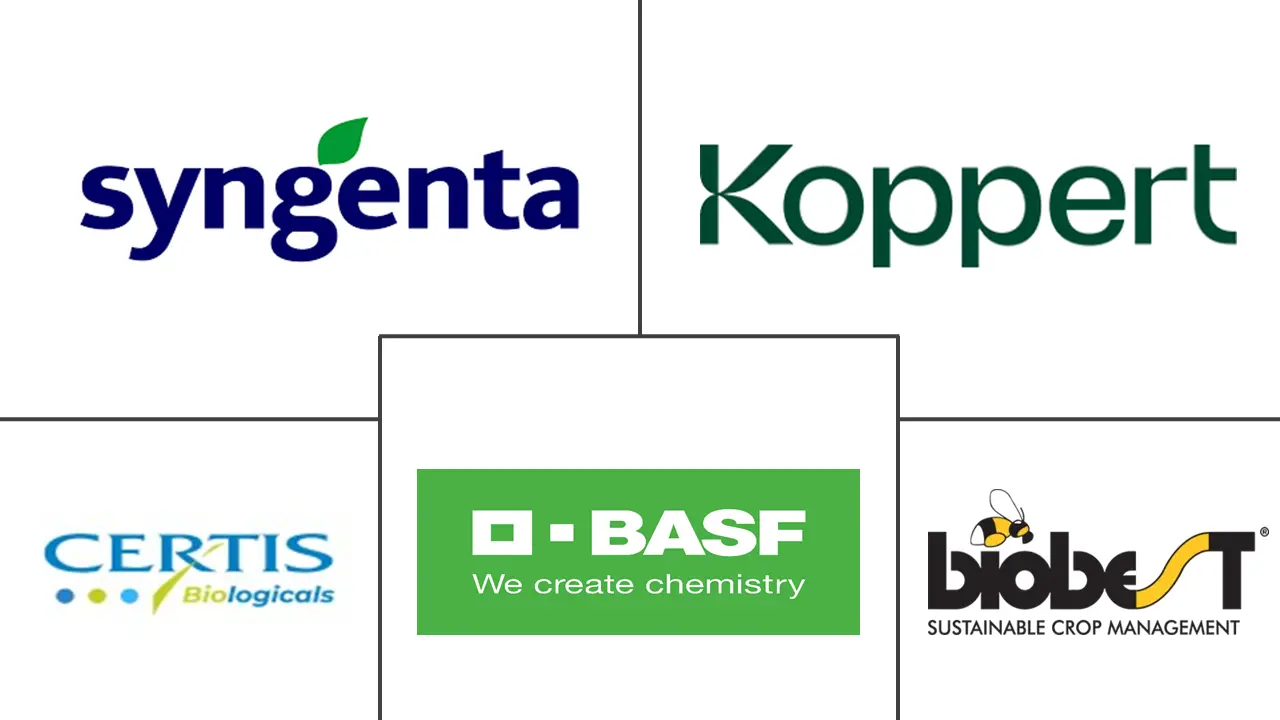 Related Companies Logo