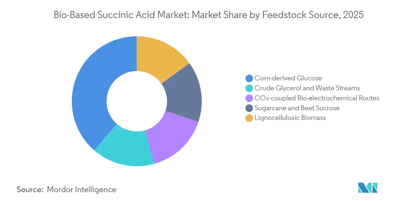 Bio-Based Succinic Acid Market Share by Feedstock Source, 2025