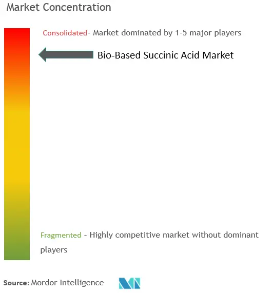 Acide succinique d'origine biologiqueConcentration du marché