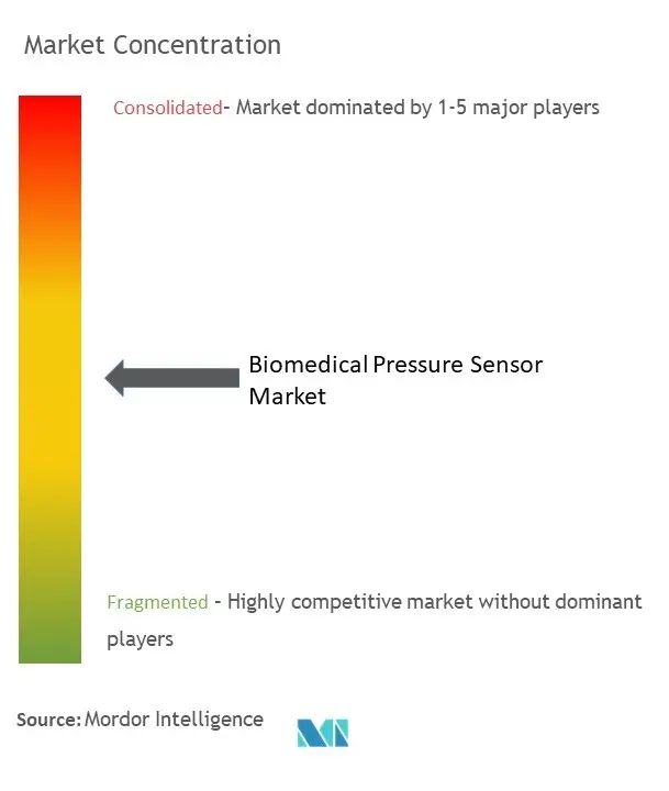 Biomedical Pressure Sensors Market Concentration