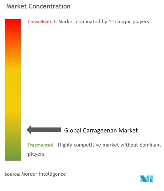 Carrageenan-Marktkonzentration