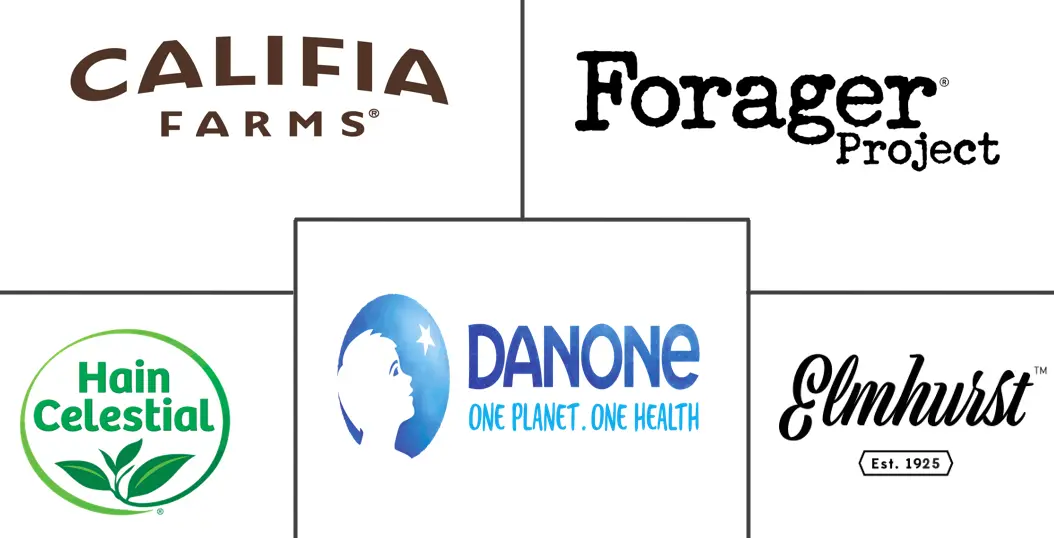 Major players in Cashew Milk industry
