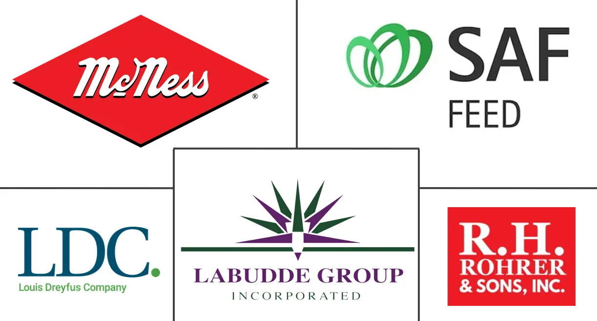 Citrus Pulp Pellets Market Key Players Principales actores en Mercado de Pellets de Pulpa de Cítricos industria