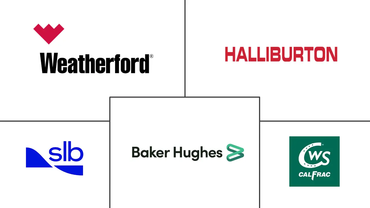 Major players in Coiled Tubing Services industry