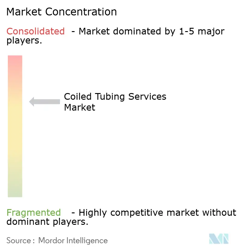 Coiled Tubing Services Market Concentration