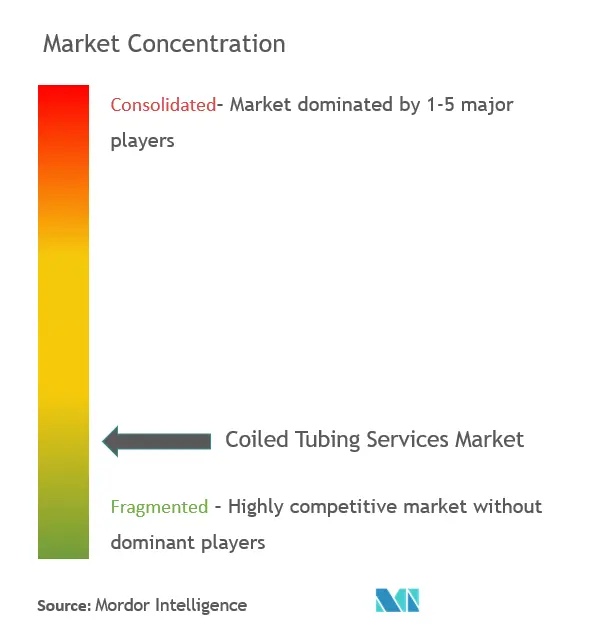 Coiled Tubing Services Market Concentration