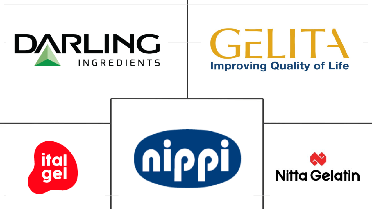 Principais participantes em Mercado de Col��geno ind��stria