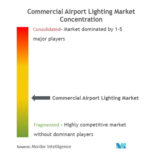 Commercial Airport Lighting Market Concentration