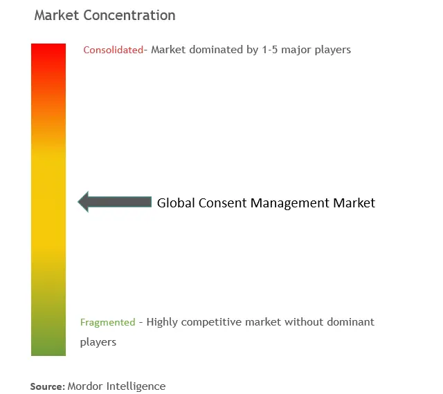 Consent Management Market Concentration