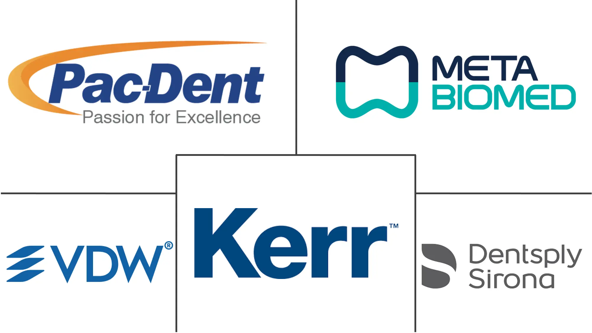 Dental Obturators Market Major Players