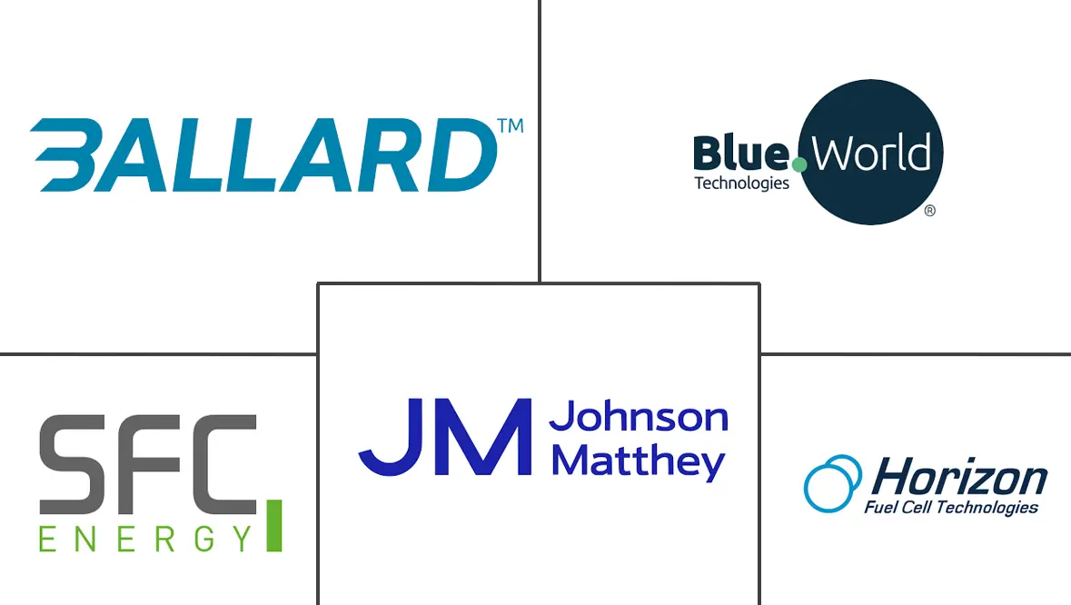Major players in Direct Methanol Fuel Cell industry