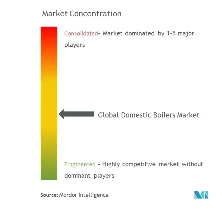 Global Domestic Boilers Market Concentration
