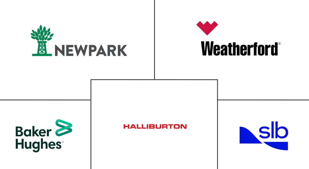 Major players in Drilling and Completion Fluids industry