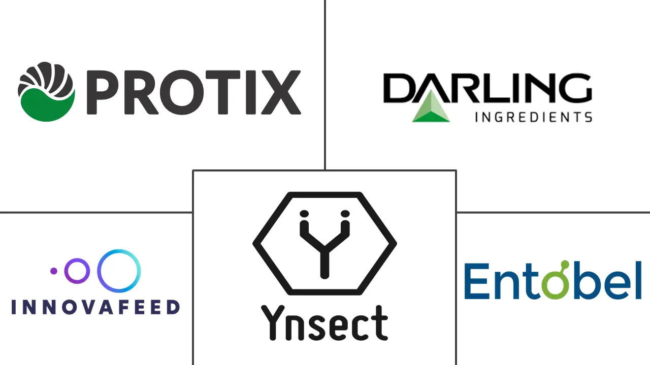 Related Companies Logo