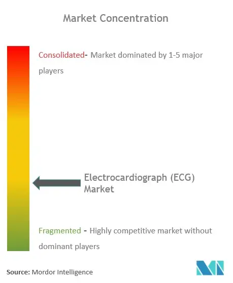 Electrocardiograph (ECG) Market Concentration