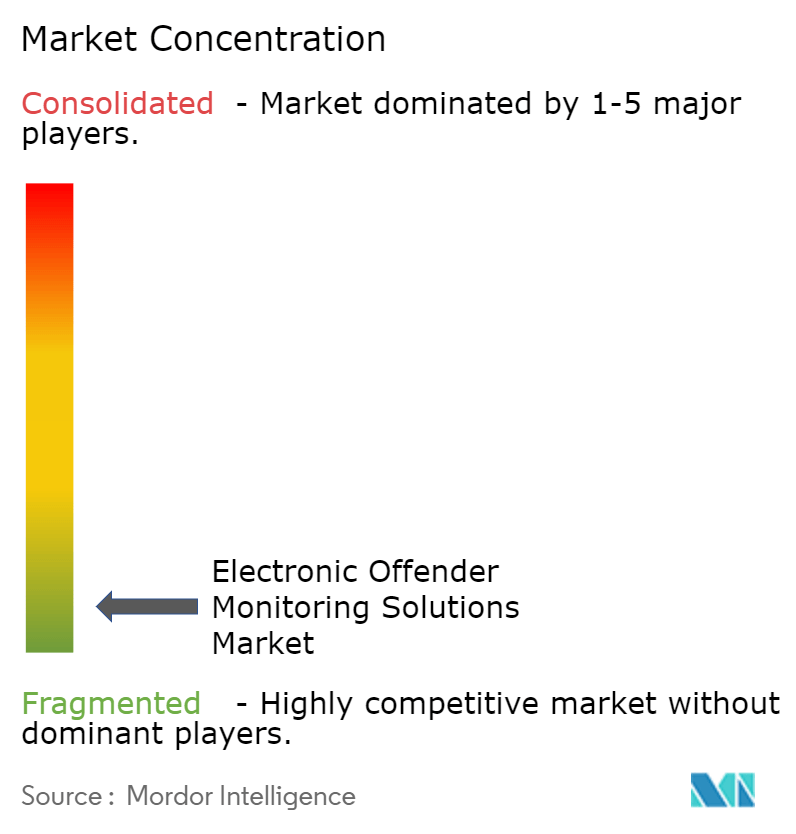 Electronic Offender Monitoring Solutions Market Concentration