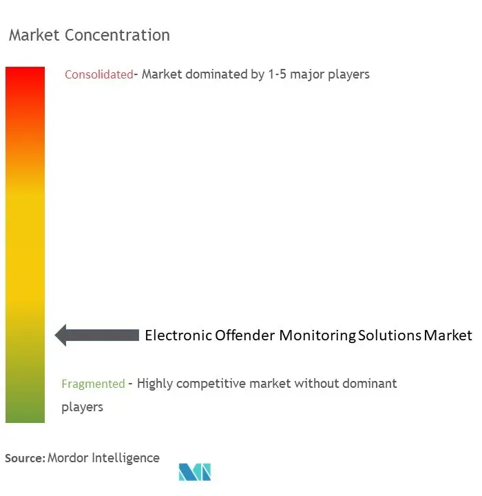 Electronic Offender Monitoring Solutions Market Concentration