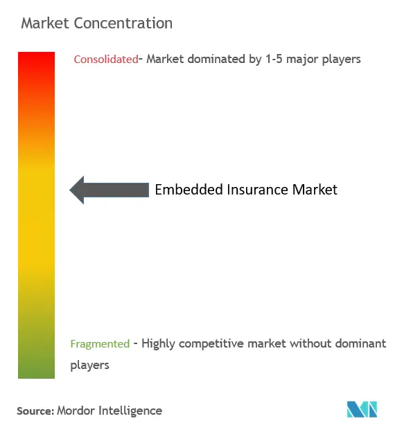 Embedded Insurance Market Concentration