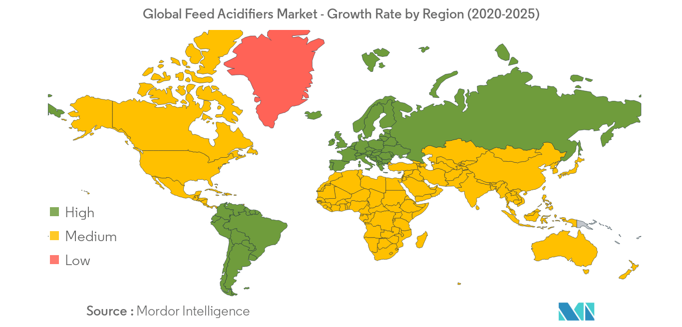 Global Feed Acidifiers Market2