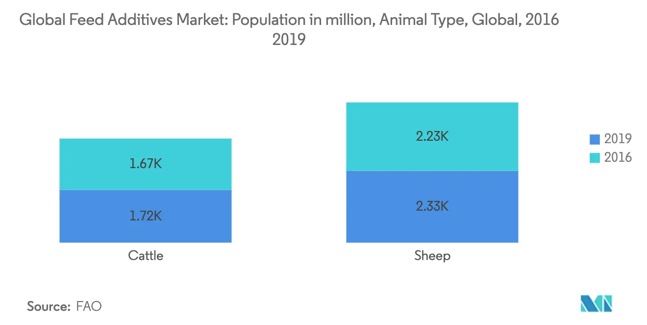 Feed Additives Market Key Trends