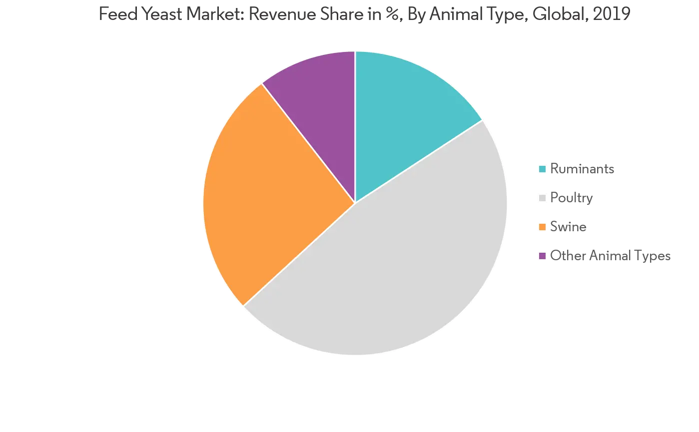 Feed Yeast Market Revenue Share By Animal Type