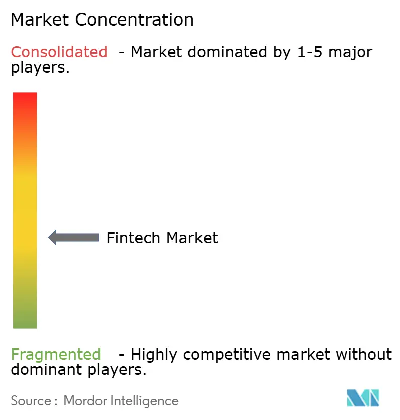Global Fintech Market Concentration