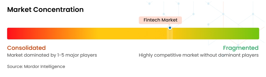 Fintech Market Concentration