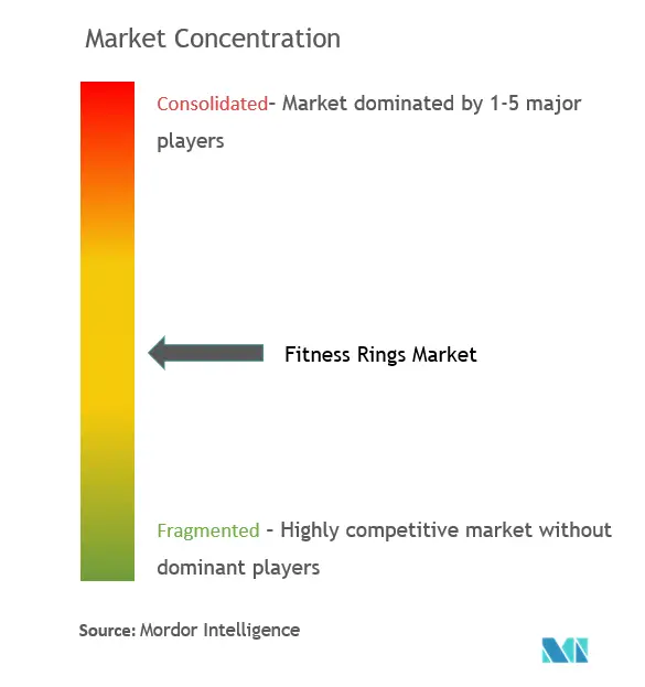 Global Fitness Rings Market Concentration