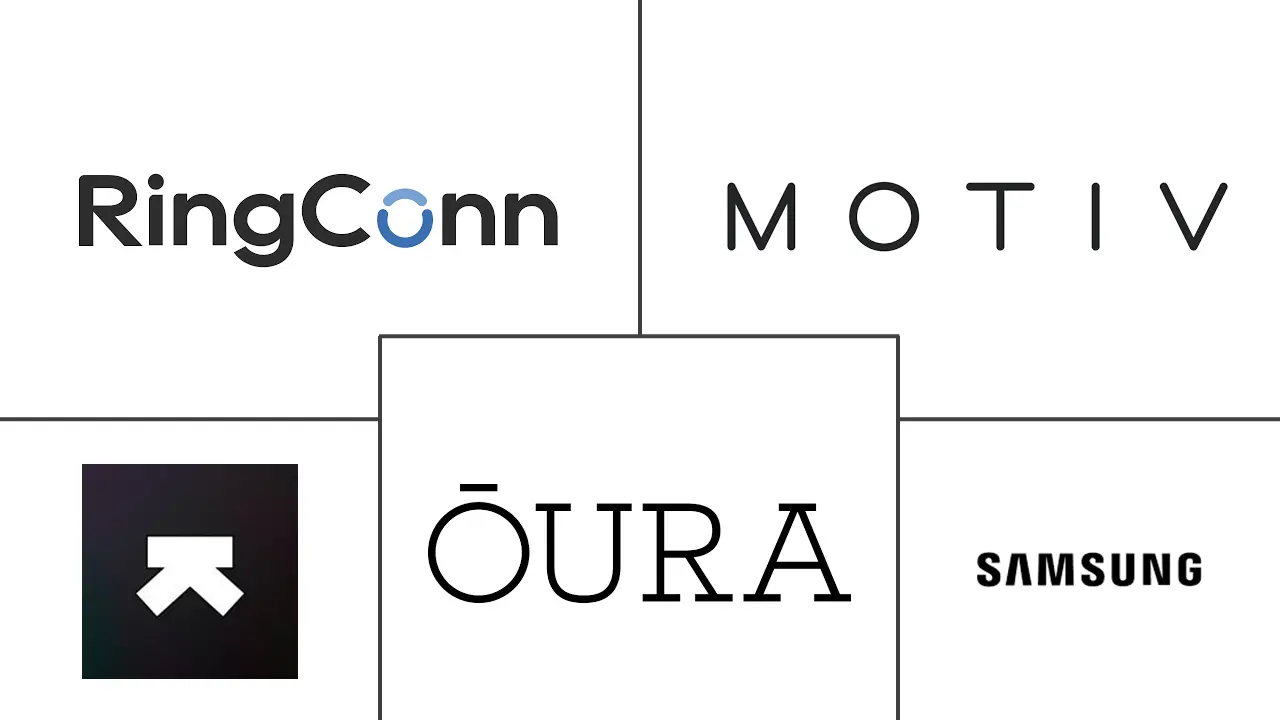 Major players in Fitness Rings industry