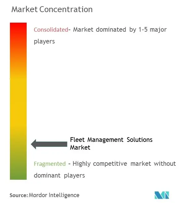 Soluciones de gestión de flotas Concentración del mercado