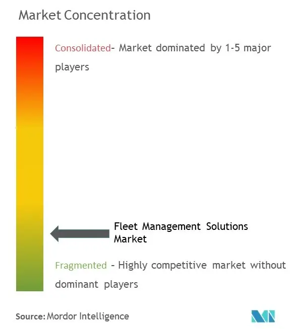 フリート管理ソリューション市場の集中度