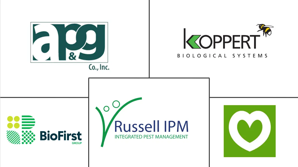 Logotipo de empresas relacionadas