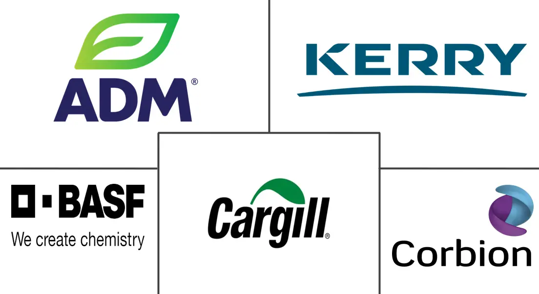 Major players in Food Emulsifiers industry