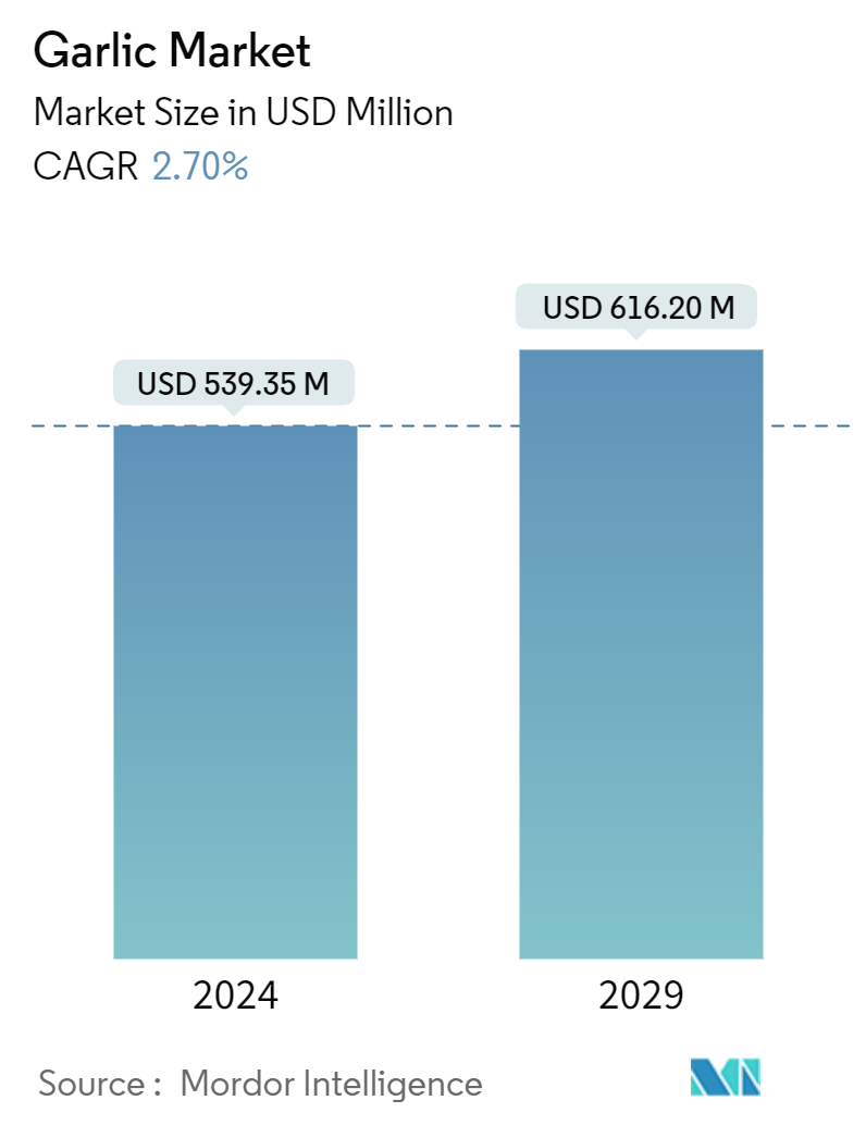 Garlic Market Summary