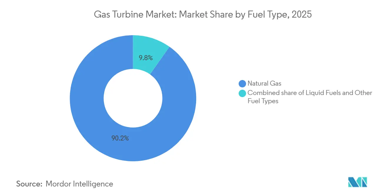 Gas Turbine Market: Market Share by Fuel Type