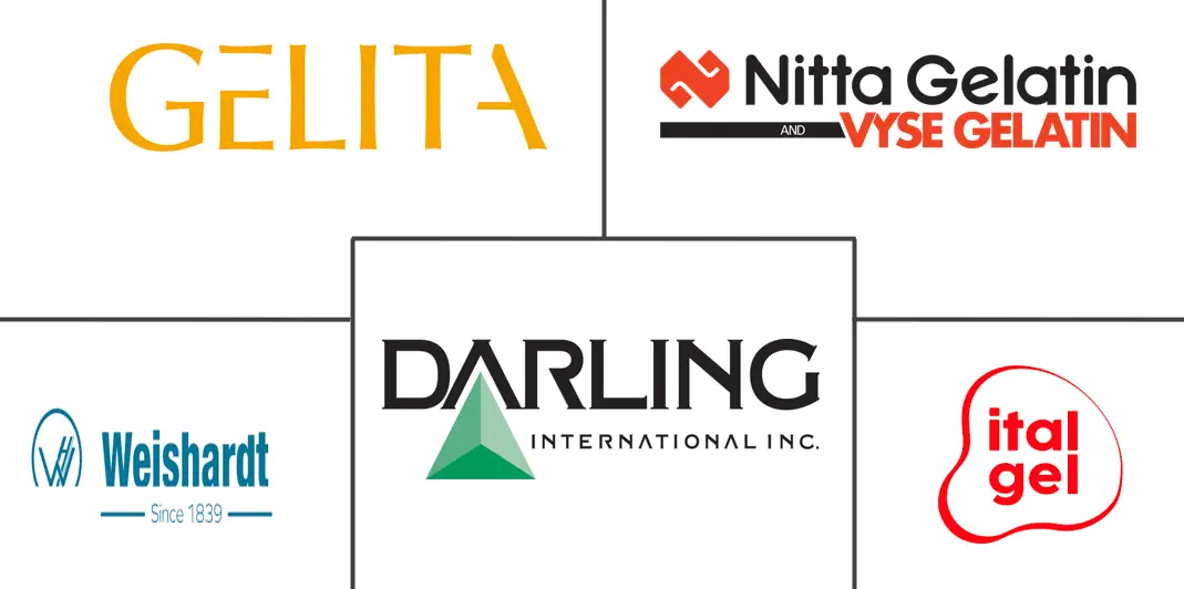 Major players in Gelatin industry