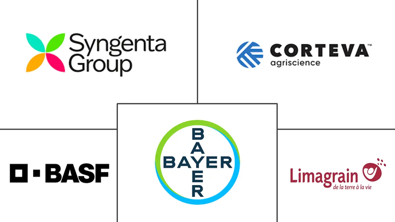 Major players in Genetically Modified Seeds industry