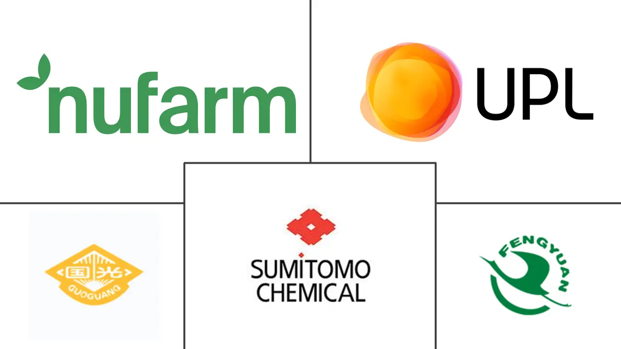 Major players in Gibberellins industry