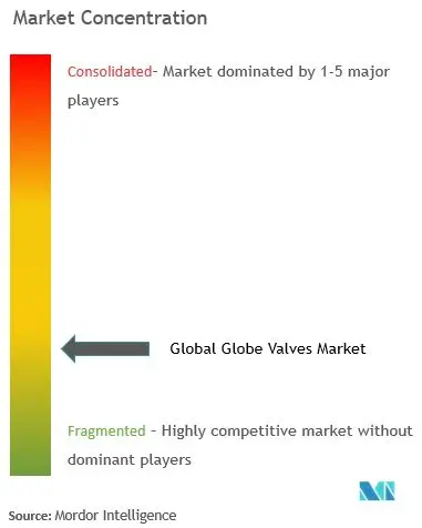 Globe Valve Market Concentration