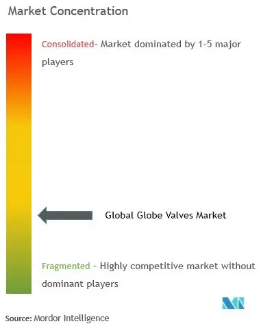 Global Globe Valve Market Concentration