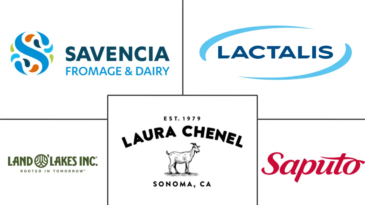 Major players in Goat Cheese industry