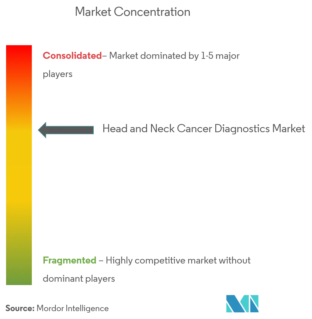GE Healthcare Philips Siemens Healthineers Apteryx Imaging Inc Identafi