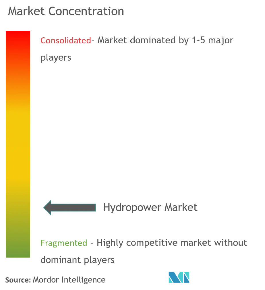 Hydropower Market Concentration