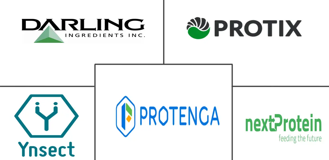 Related Companies Logo