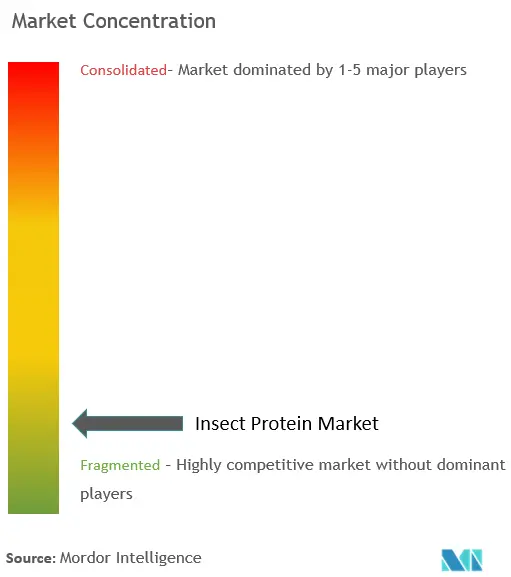 Proteína de insectosConcentración del Mercado