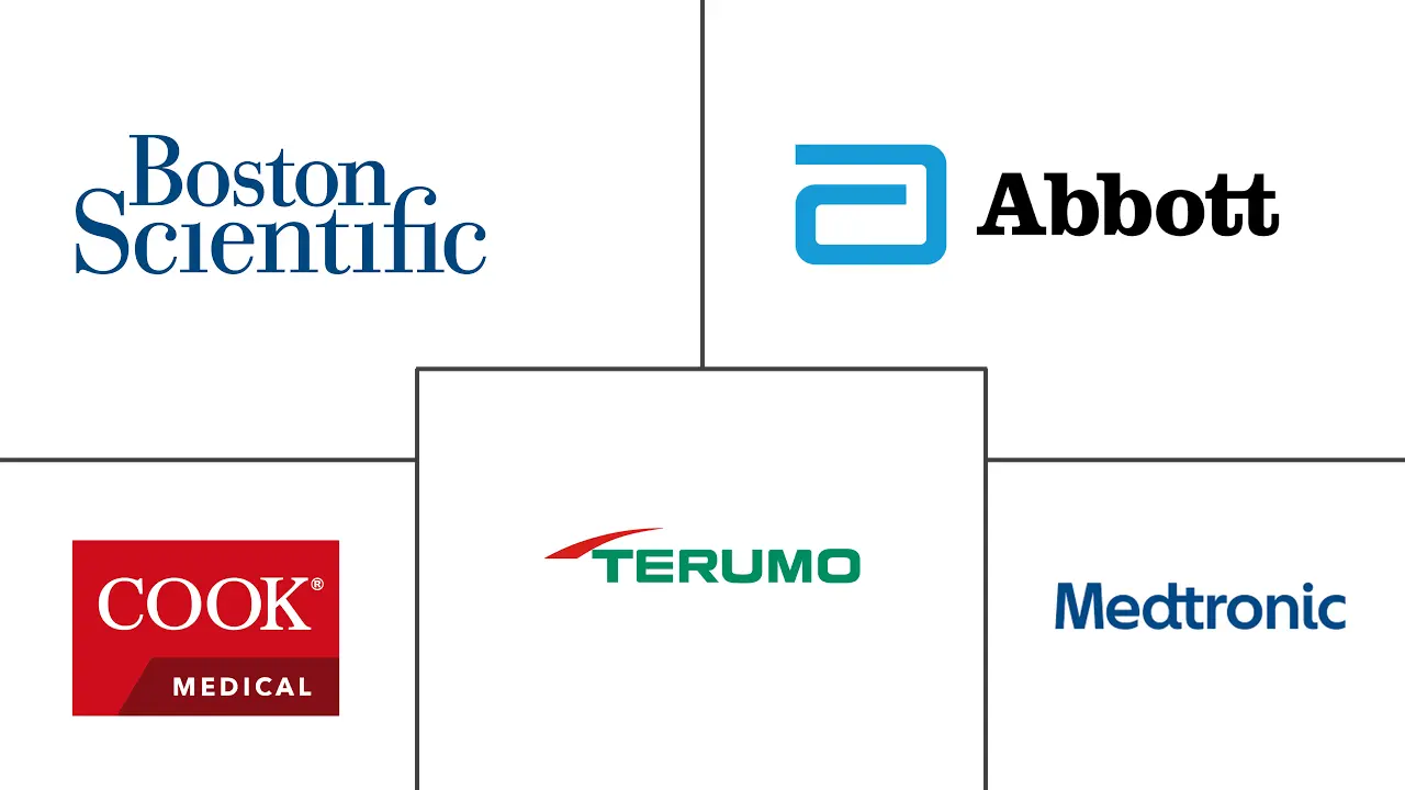 Interventional Cardiology Devices Market Key Players Interventional Cardiology Devices Market Major Players